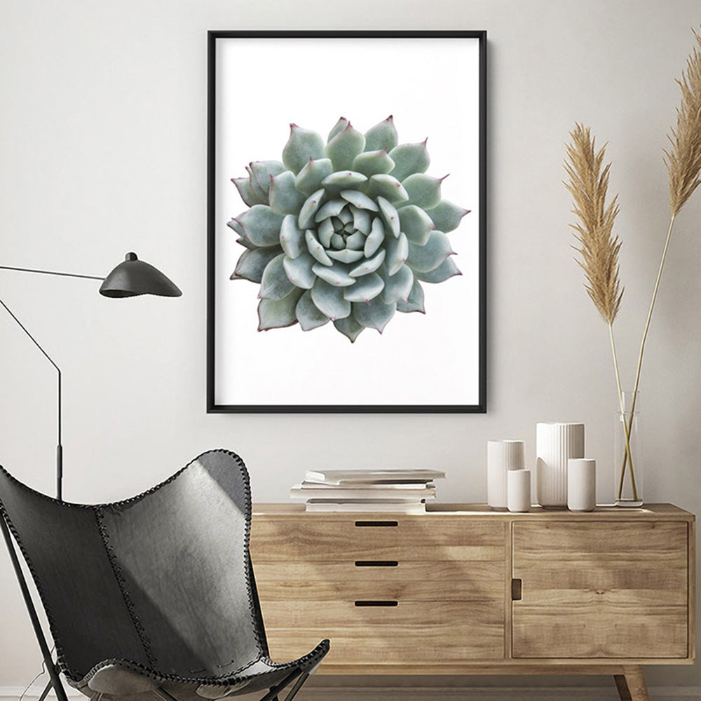 Succulent I - Art Print, Poster, Stretched Canvas or Framed Wall Art Prints, shown framed in a room