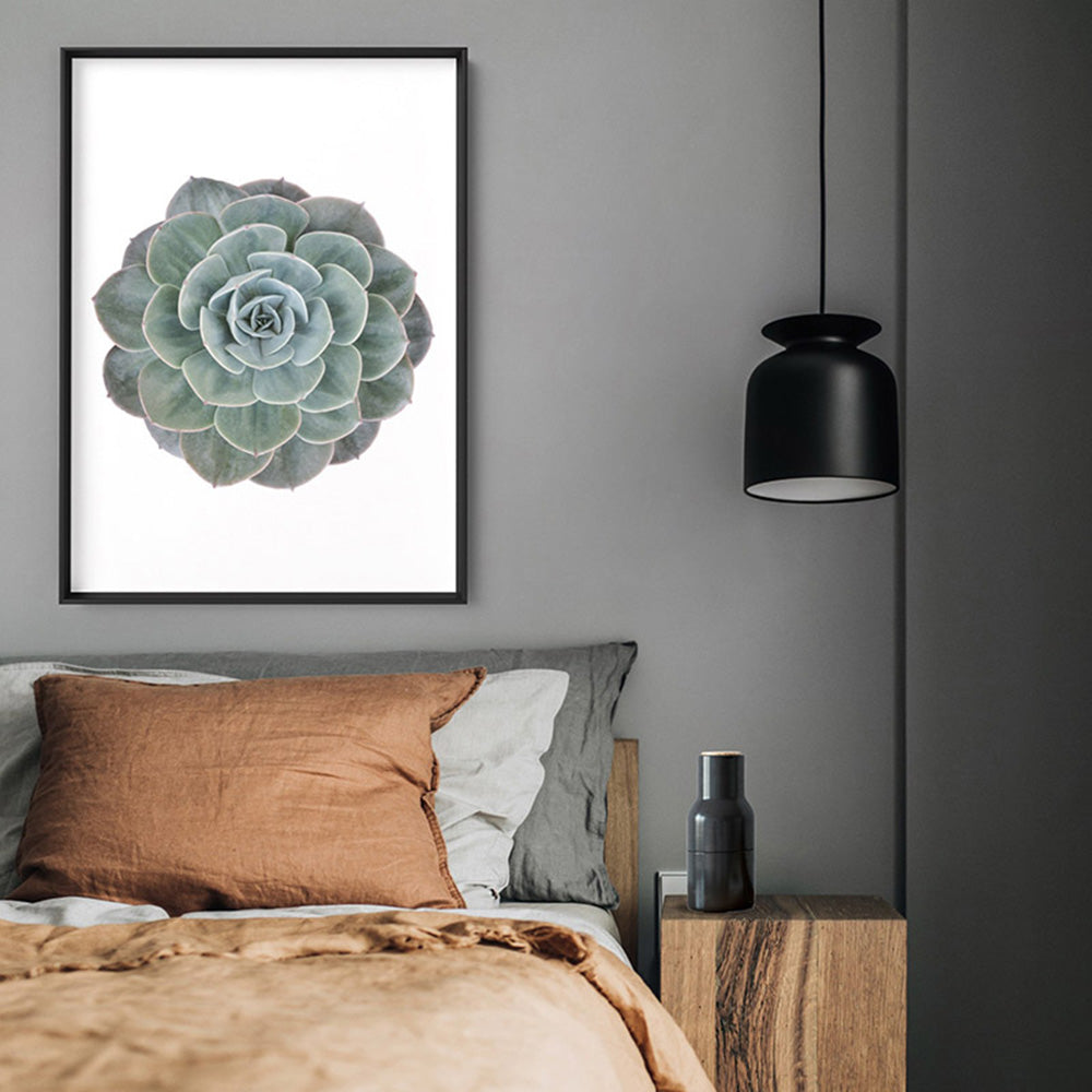 Succulent II - Art Print, Poster, Stretched Canvas or Framed Wall Art Prints, shown framed in a room