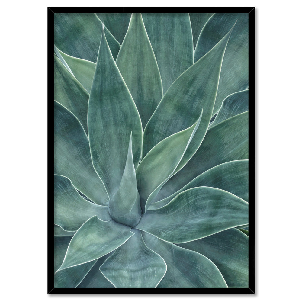 Agave Detail I - Art Print, Poster, Stretched Canvas, or Framed Wall Art Print, shown in a black frame