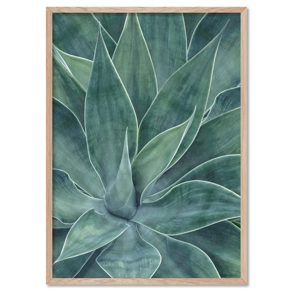 Agave Detail I - Art Print, Poster, Stretched Canvas, or Framed Wall Art Print, shown in a natural timber frame