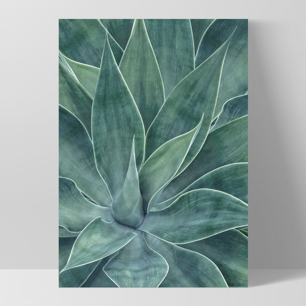 Agave Detail I - Art Print, Poster, Stretched Canvas, or Framed Wall Art Print, shown as a stretched canvas or poster without a frame