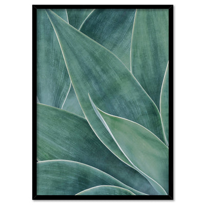 Agave Detail II - Art Print, Poster, Stretched Canvas, or Framed Wall Art Print, shown in a black frame