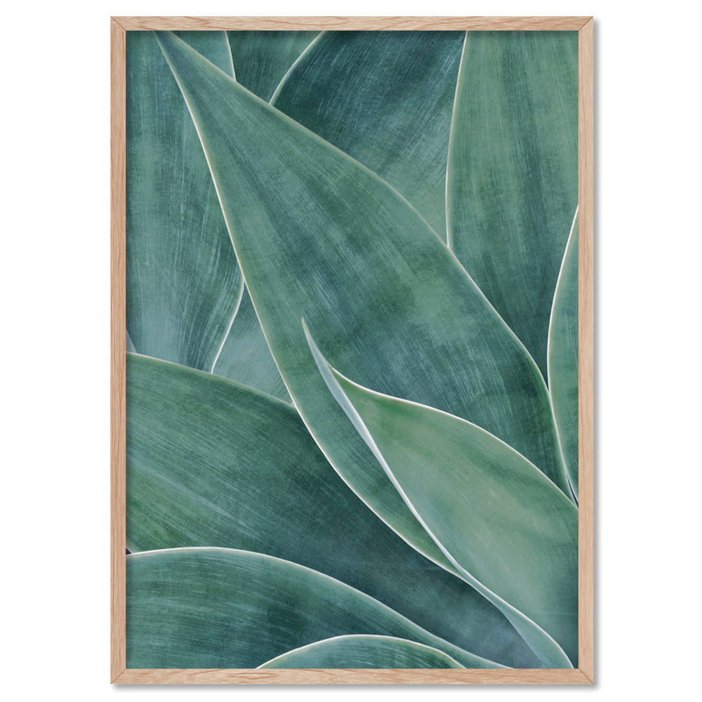 Agave Detail II - Art Print, Poster, Stretched Canvas, or Framed Wall Art Print, shown in a natural timber frame