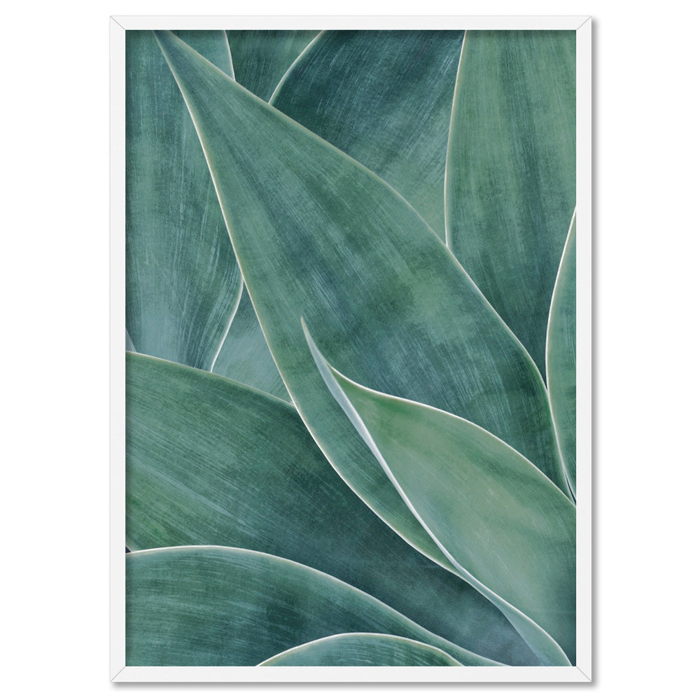 Agave Detail II - Art Print, Poster, Stretched Canvas, or Framed Wall Art Print, shown in a white frame