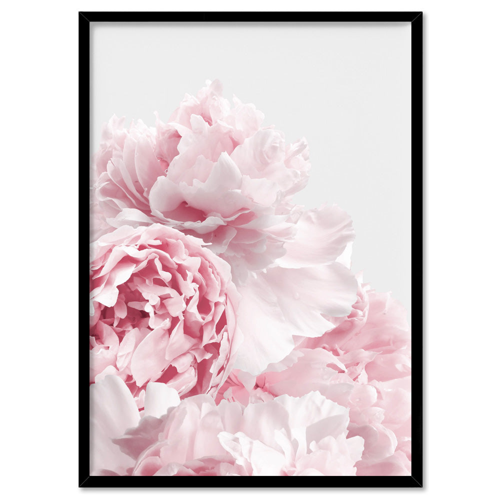 Blush Peonies - Art Print, Poster, Stretched Canvas, or Framed Wall Art Print, shown in a black frame