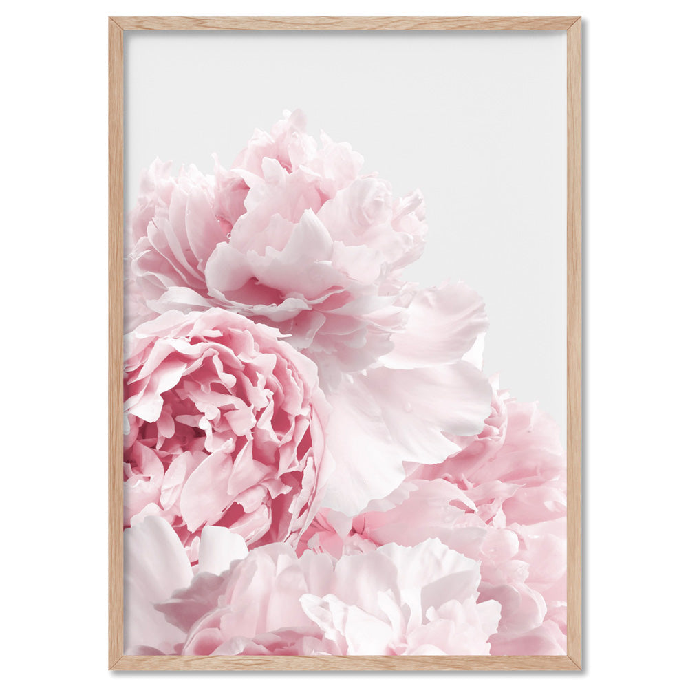 Blush Peonies - Art Print, Poster, Stretched Canvas, or Framed Wall Art Print, shown in a natural timber frame