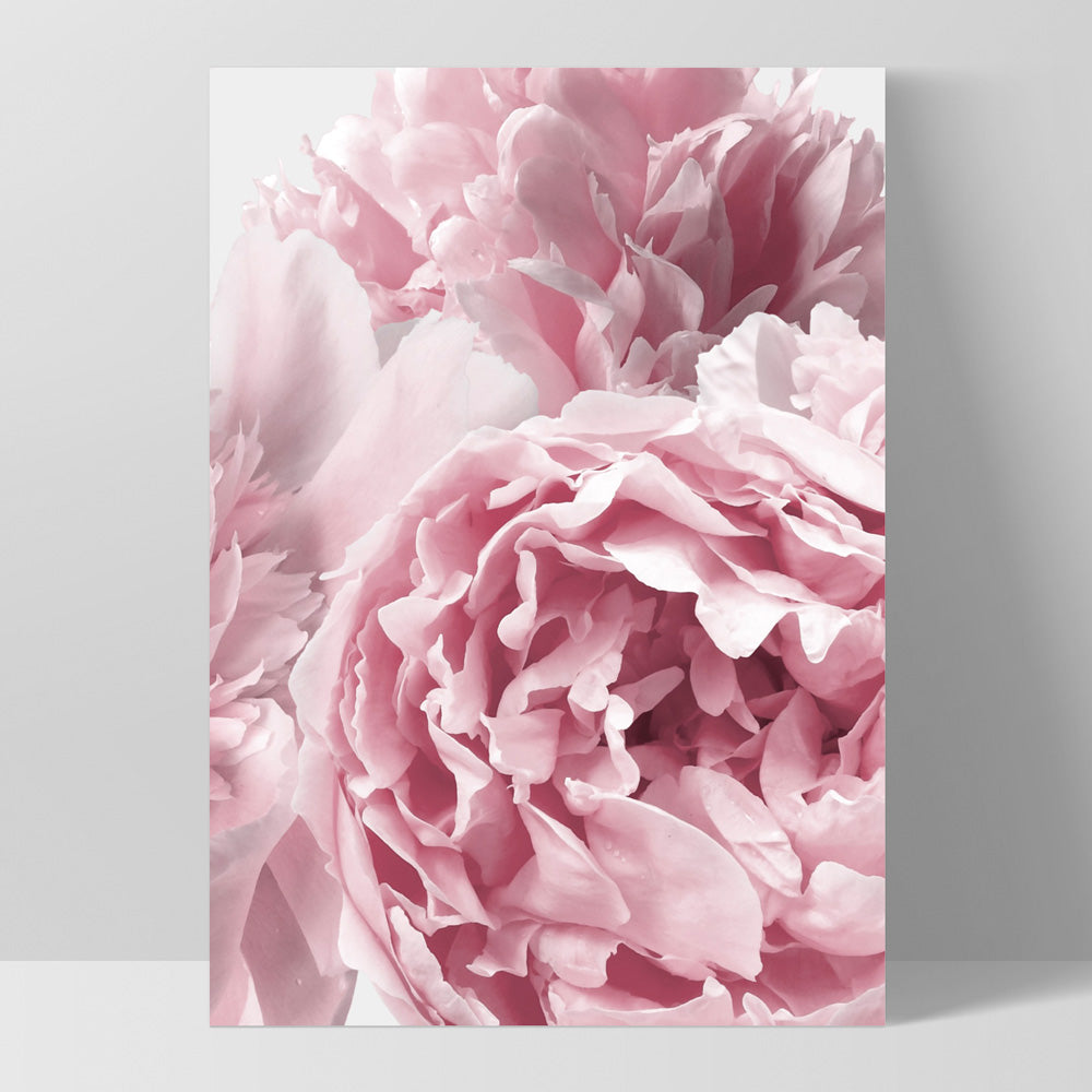 Peonies Bunch II - Art Print, Poster, Stretched Canvas, or Framed Wall Art Print, shown as a stretched canvas or poster without a frame