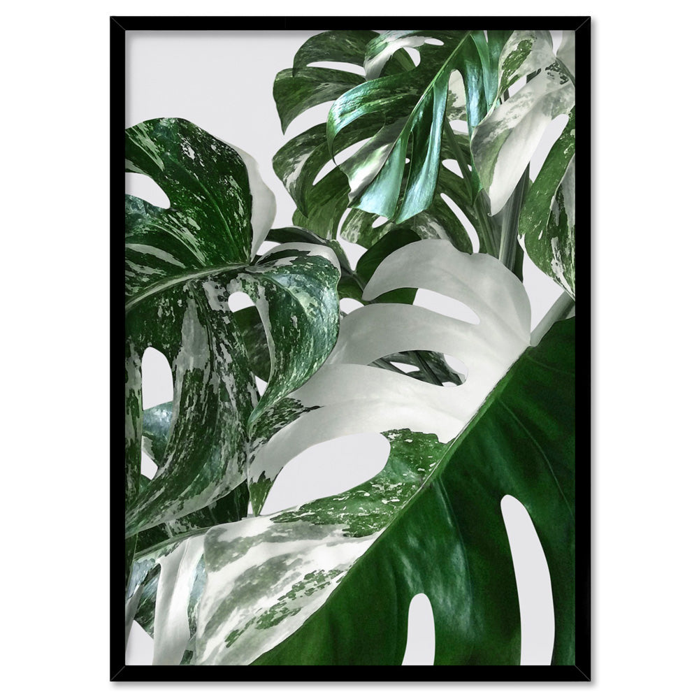 Monstera Variegated Leaves I - Art Print, Poster, Stretched Canvas, or Framed Wall Art Print, shown in a black frame