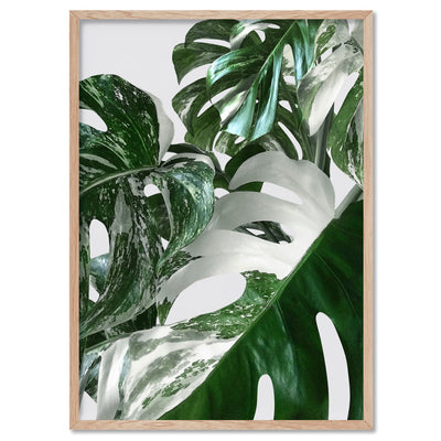 Monstera Variegated Leaves I - Art Print, Poster, Stretched Canvas, or Framed Wall Art Print, shown in a natural timber frame