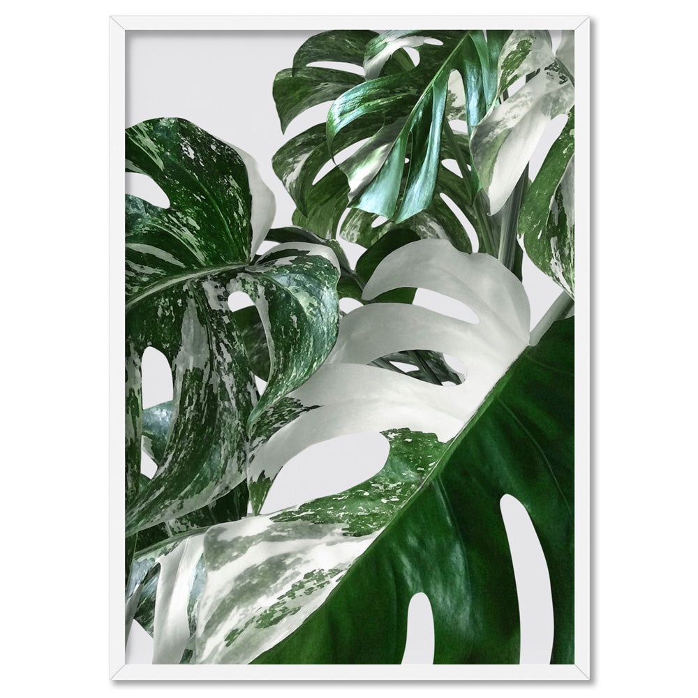 Monstera Variegated Leaves I - Art Print, Poster, Stretched Canvas, or Framed Wall Art Print, shown in a white frame