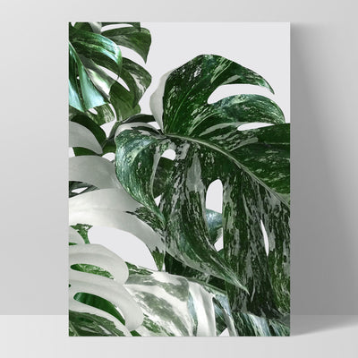 Monstera Variegated Leaves II - Art Print, Poster, Stretched Canvas, or Framed Wall Art Print, shown as a stretched canvas or poster without a frame