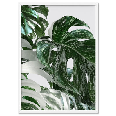 Monstera Variegated Leaves II - Art Print, Poster, Stretched Canvas, or Framed Wall Art Print, shown in a white frame
