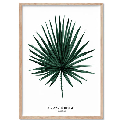 Fan Palm Scandi Leaf Watercolour (dark green) - Art Print, Poster, Stretched Canvas, or Framed Wall Art Print, shown in a natural timber frame