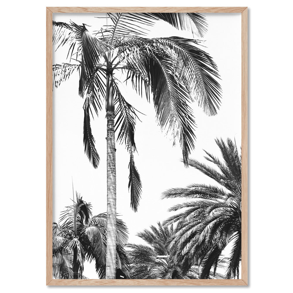 Palms Black & White - Art Print, Poster, Stretched Canvas, or Framed Wall Art Print, shown in a natural timber frame
