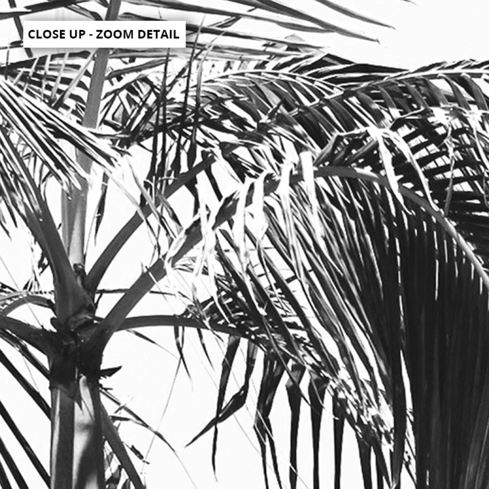 Palms Black & White - Art Print, Poster, Stretched Canvas or Framed Wall Art, Close up View of Print Resolution
