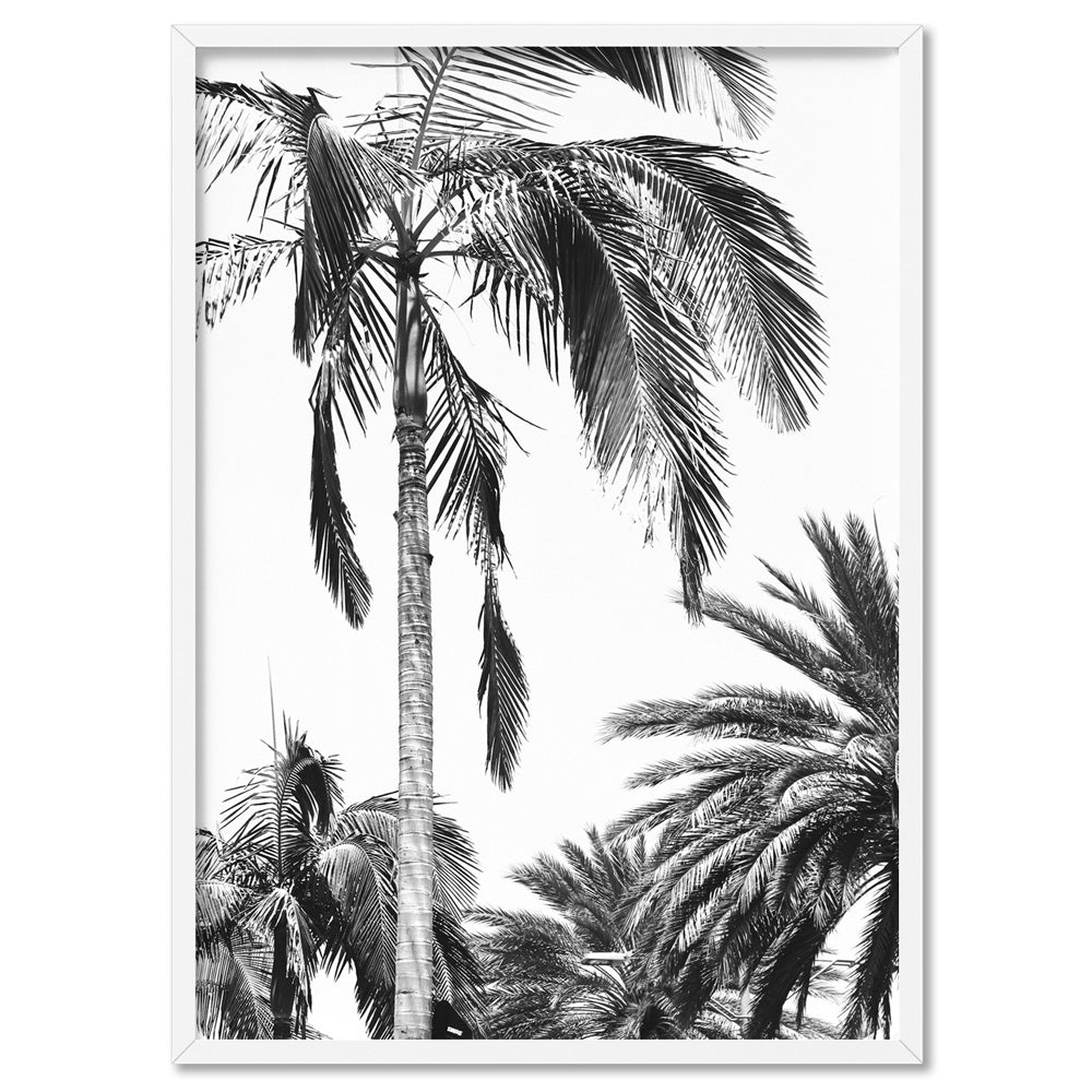Palms Black & White - Art Print, Poster, Stretched Canvas, or Framed Wall Art Print, shown in a white frame