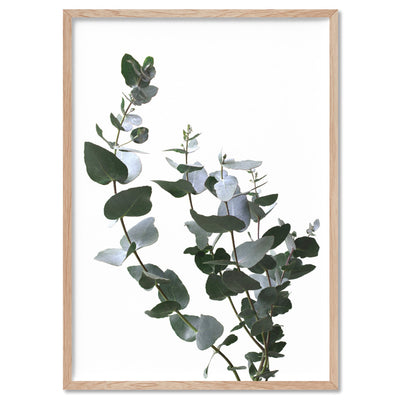Eucalyptus Gum Leaves I  - Art Print, Poster, Stretched Canvas, or Framed Wall Art Print, shown in a natural timber frame
