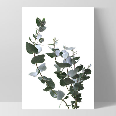 Eucalyptus Gum Leaves I  - Art Print, Poster, Stretched Canvas, or Framed Wall Art Print, shown as a stretched canvas or poster without a frame