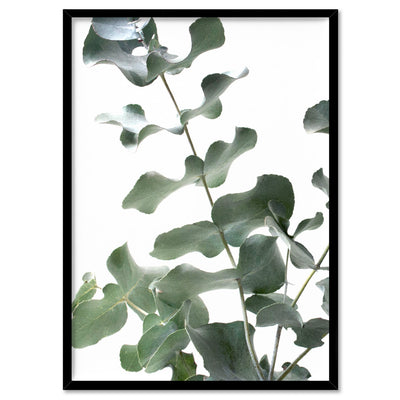 Eucalyptus Gum Leaves II  - Art Print, Poster, Stretched Canvas, or Framed Wall Art Print, shown in a black frame