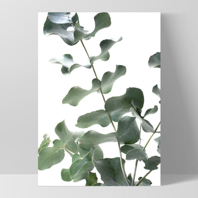Eucalyptus Gum Leaves II  - Art Print, Poster, Stretched Canvas, or Framed Wall Art Print, shown as a stretched canvas or poster without a frame