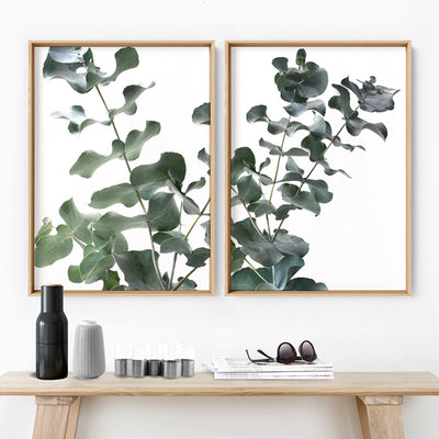 Eucalyptus Gum Leaves II  - Art Print, Poster, Stretched Canvas or Framed Wall Art, shown framed in a home interior space