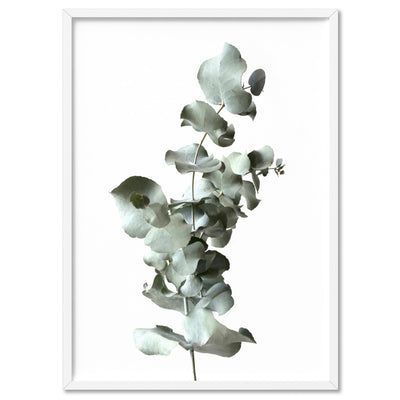 Eucalyptus Gum Leaves III  - Art Print, Poster, Stretched Canvas, or Framed Wall Art Print, shown in a white frame