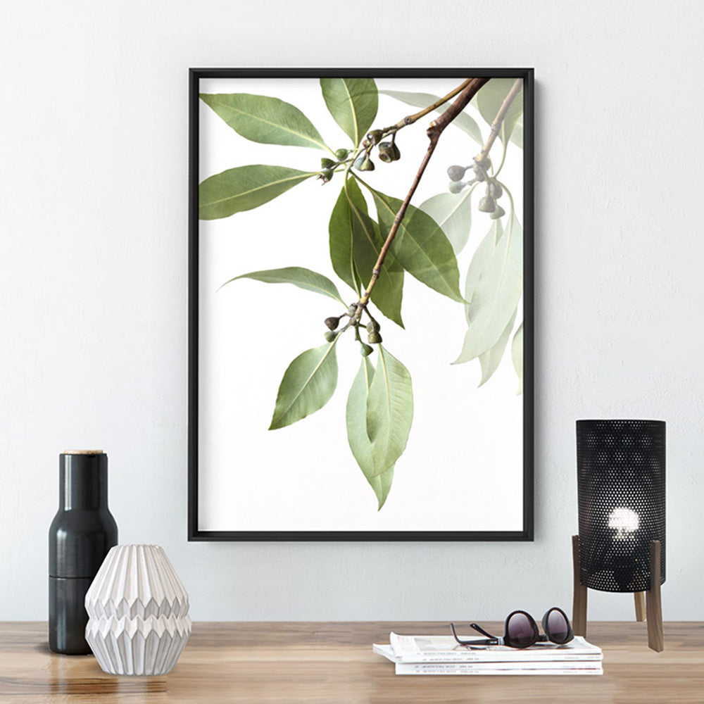 Gumtree Eucalyptus Leaves II - Art Print, Poster, Stretched Canvas or Framed Wall Art Prints, shown framed in a room