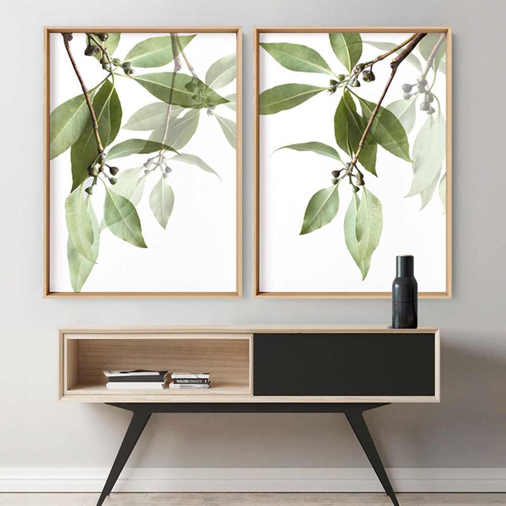 Gumtree Eucalyptus Leaves II - Art Print, Poster, Stretched Canvas or Framed Wall Art, shown framed in a home interior space