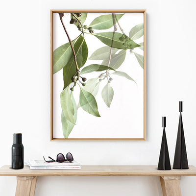 Gumtree Eucalyptus Leaves I - Art Print, Poster, Stretched Canvas or Framed Wall Art Prints, shown framed in a room