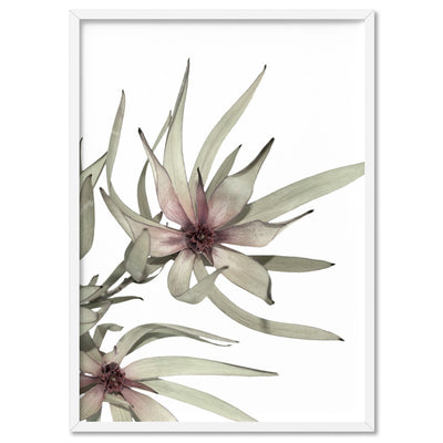 Leucadendron Dried Flowers I - Art Print, Poster, Stretched Canvas, or Framed Wall Art Print, shown in a white frame