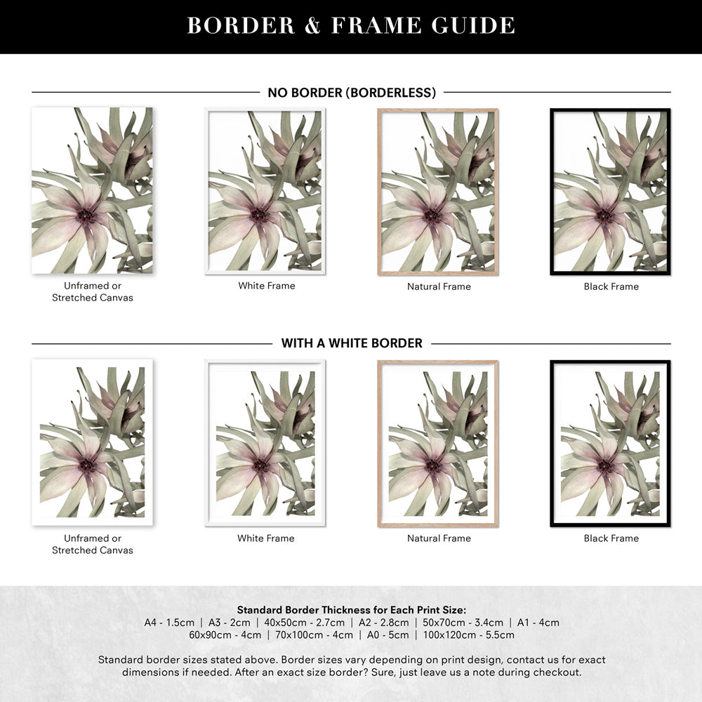 Leucadendron Dried Flowers II - Art Print, Poster, Stretched Canvas or Framed Wall Art, Showing White , Black, Natural Frame Colours, No Frame (Unframed) or Stretched Canvas, and With or Without White Borders