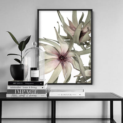 Leucadendron Dried Flowers II - Art Print, Poster, Stretched Canvas or Framed Wall Art Prints, shown framed in a room