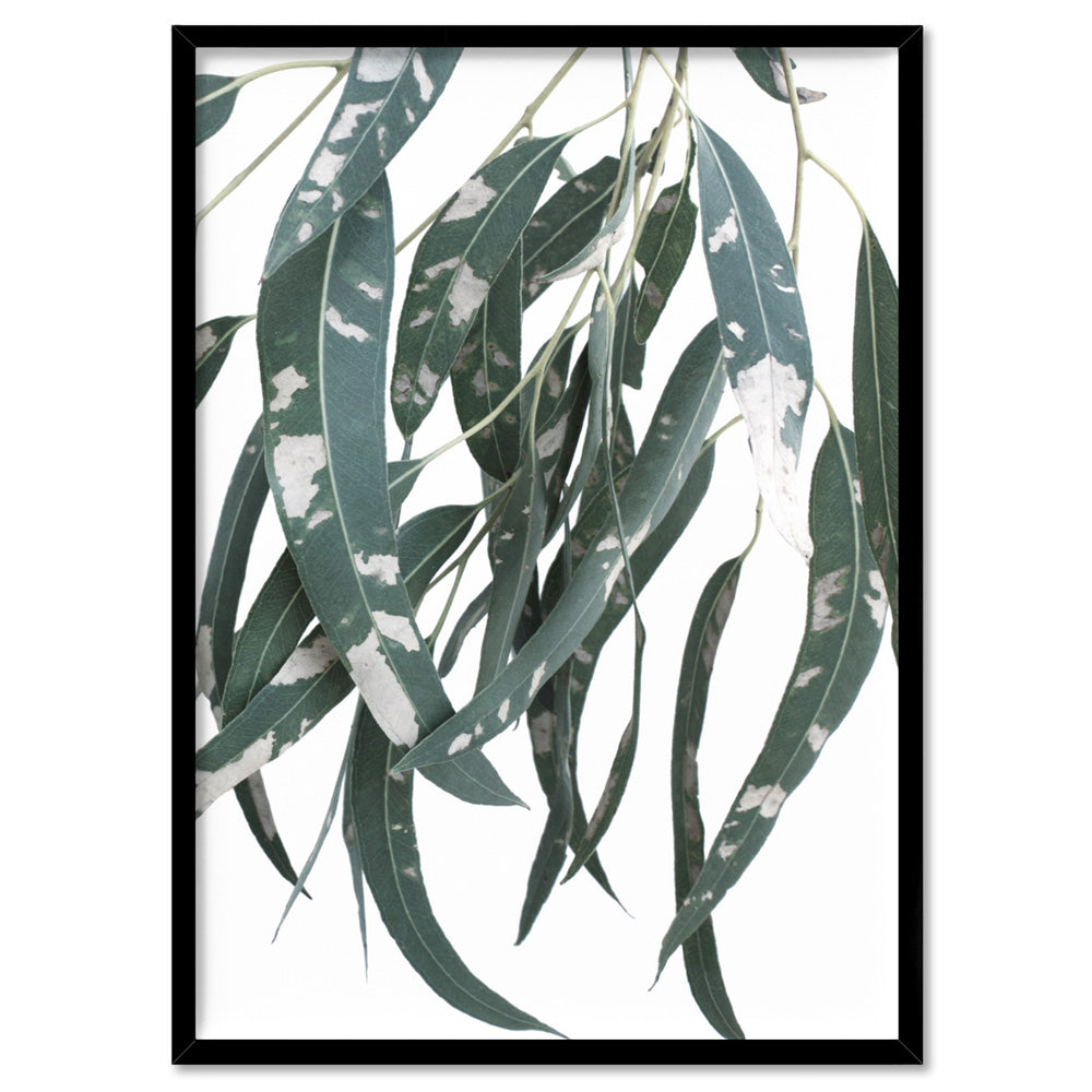 Spotty Gumtree Eucalyptus Leaves I - Art Print, Poster, Stretched Canvas, or Framed Wall Art Print, shown in a black frame