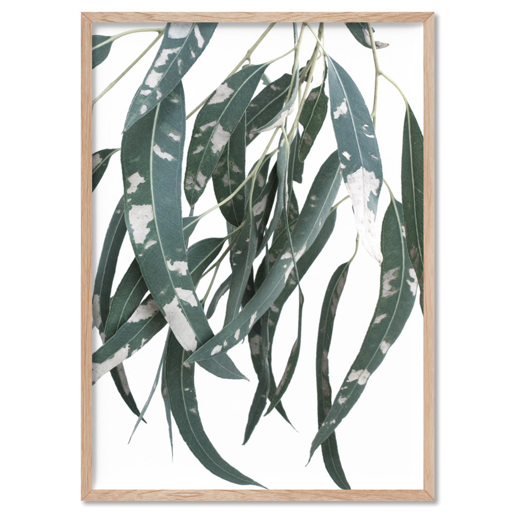 Spotty Gumtree Eucalyptus Leaves I - Art Print, Poster, Stretched Canvas, or Framed Wall Art Print, shown in a natural timber frame