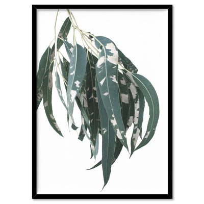 Spotty Gumtree Eucalyptus Leaves II - Art Print, Poster, Stretched Canvas, or Framed Wall Art Print, shown in a black frame