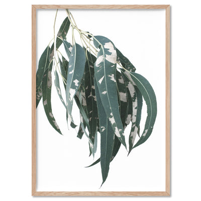Spotty Gumtree Eucalyptus Leaves II - Art Print, Poster, Stretched Canvas, or Framed Wall Art Print, shown in a natural timber frame