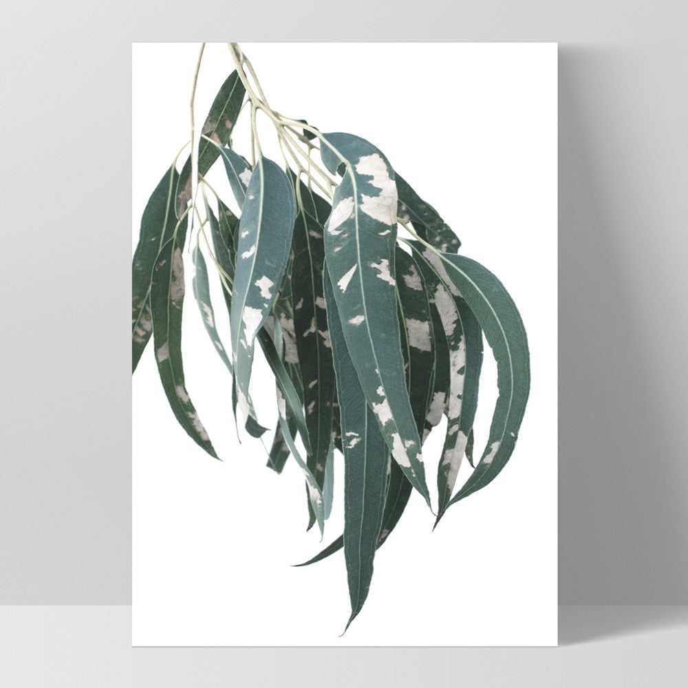Spotty Gumtree Eucalyptus Leaves II - Art Print, Poster, Stretched Canvas, or Framed Wall Art Print, shown as a stretched canvas or poster without a frame