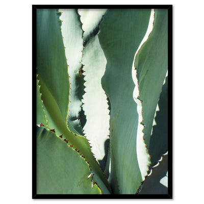 Agave Study I - Art Print, Poster, Stretched Canvas, or Framed Wall Art Print, shown in a black frame