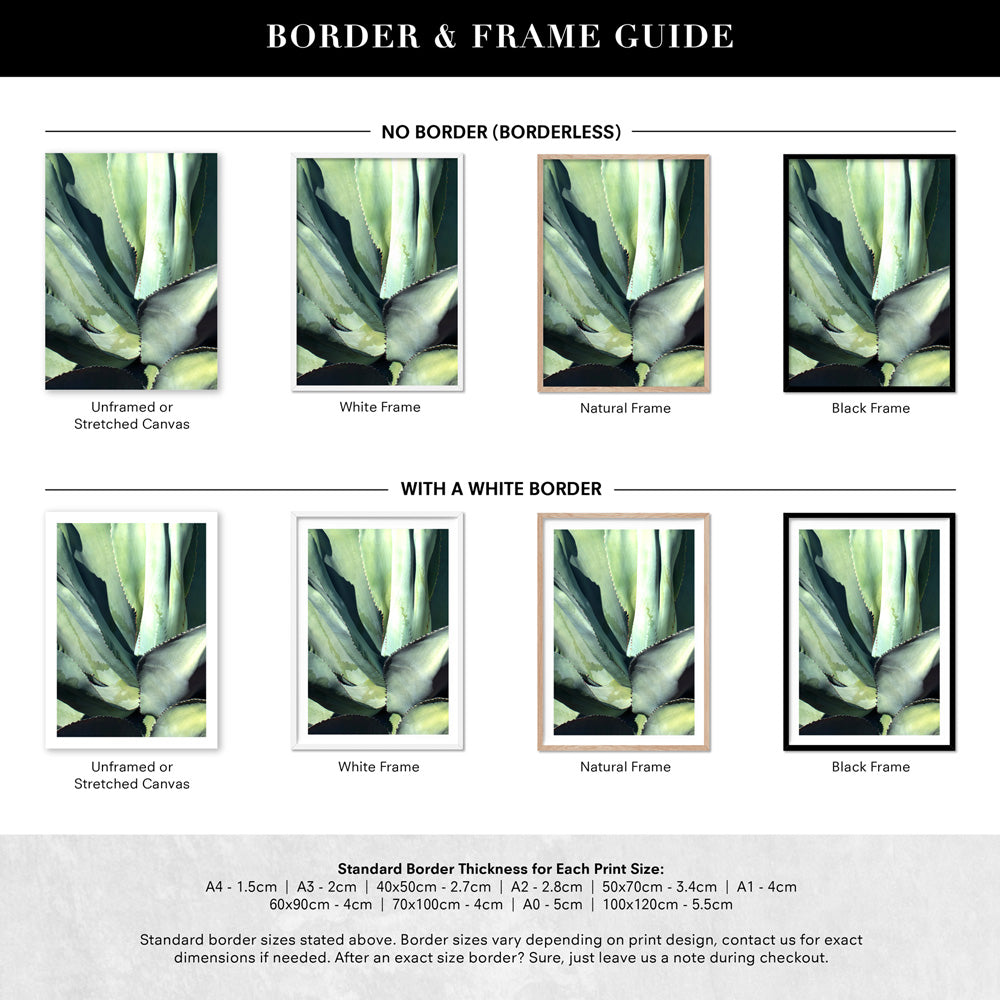 Agave Study II - Art Print, Poster, Stretched Canvas or Framed Wall Art, Showing White , Black, Natural Frame Colours, No Frame (Unframed) or Stretched Canvas, and With or Without White Borders