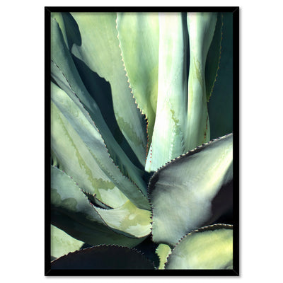 Agave Study II - Art Print, Poster, Stretched Canvas, or Framed Wall Art Print, shown in a black frame