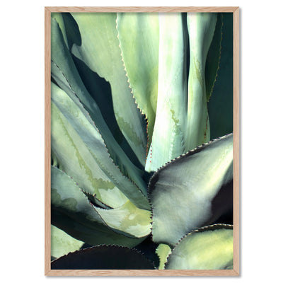 Agave Study II - Art Print, Poster, Stretched Canvas, or Framed Wall Art Print, shown in a natural timber frame