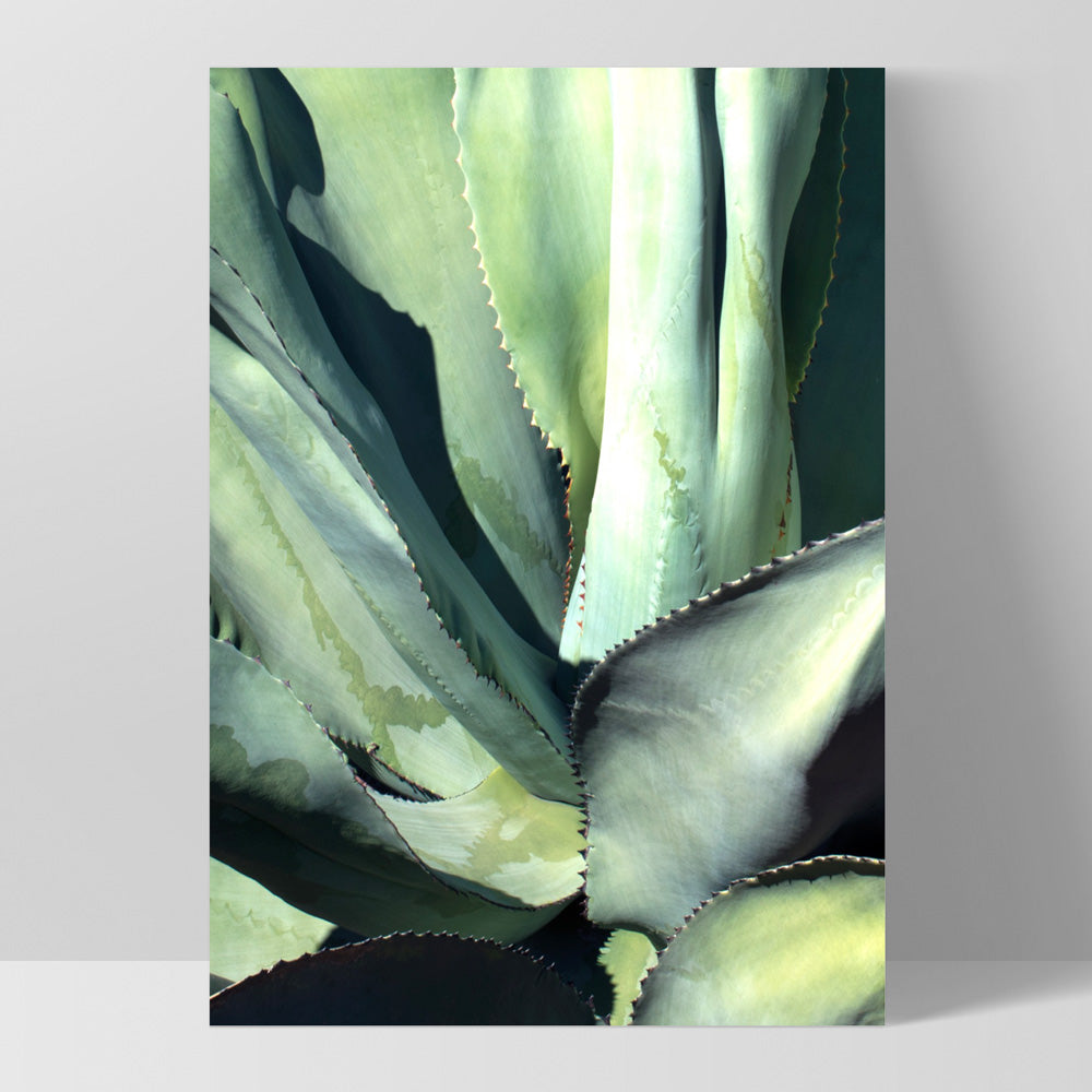 Agave Study II - Art Print, Poster, Stretched Canvas, or Framed Wall Art Print, shown as a stretched canvas or poster without a frame