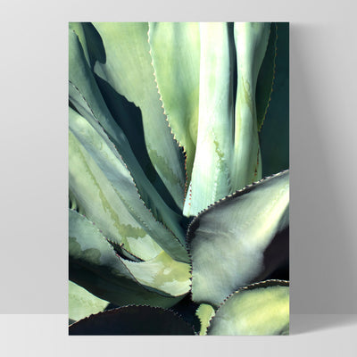 Agave Study II - Art Print, Poster, Stretched Canvas, or Framed Wall Art Print, shown as a stretched canvas or poster without a frame