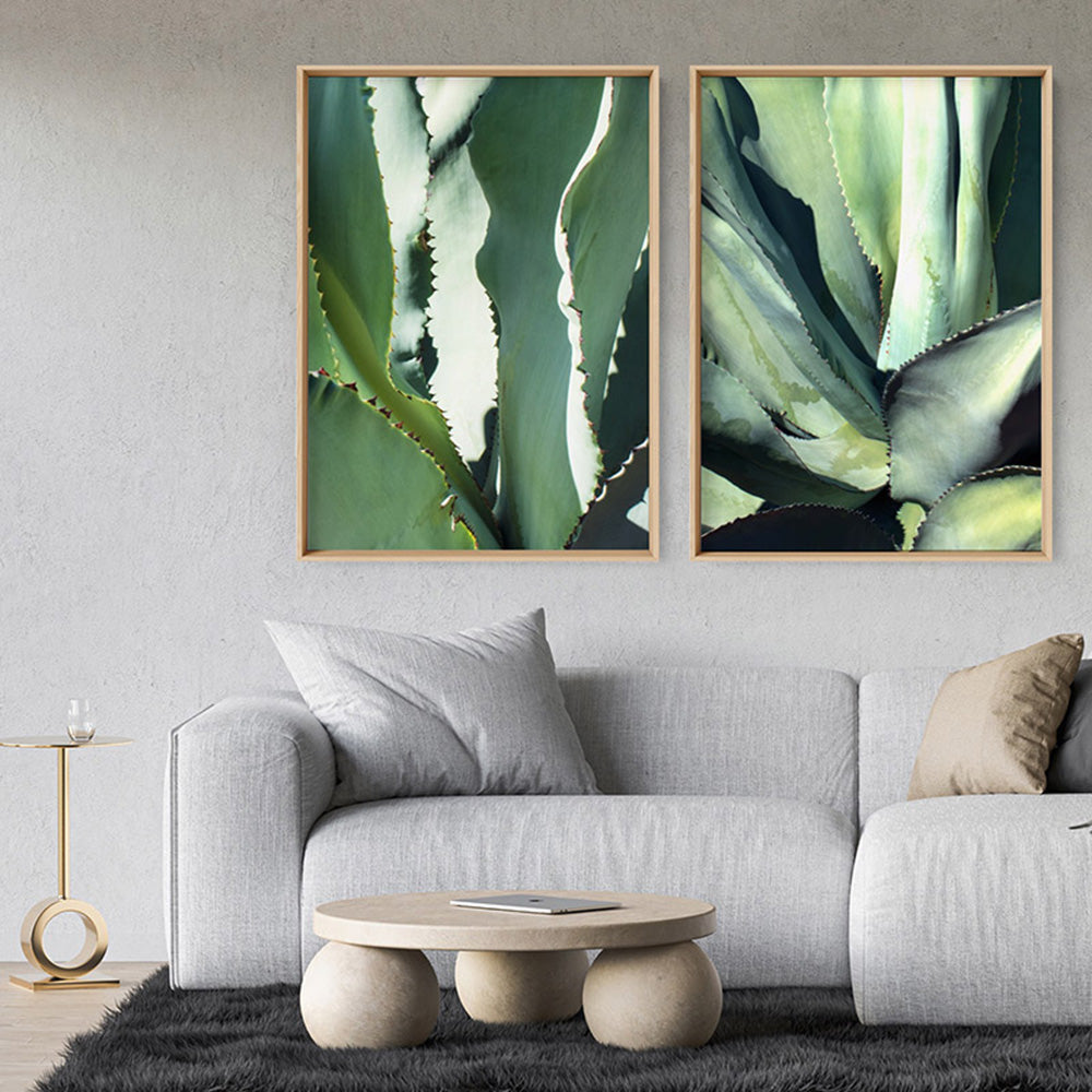 Agave Study II - Art Print, Poster, Stretched Canvas or Framed Wall Art, shown framed in a home interior space