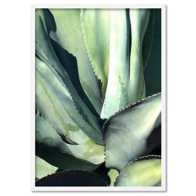 Agave Study II - Art Print, Poster, Stretched Canvas, or Framed Wall Art Print, shown in a white frame
