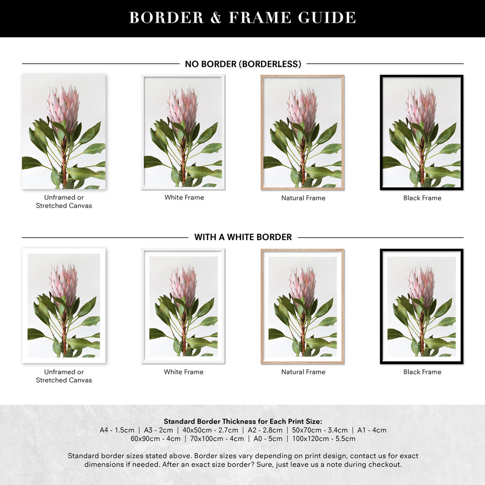 Queen Protea Portrait - Art Print, Poster, Stretched Canvas or Framed Wall Art, Showing White , Black, Natural Frame Colours, No Frame (Unframed) or Stretched Canvas, and With or Without White Borders