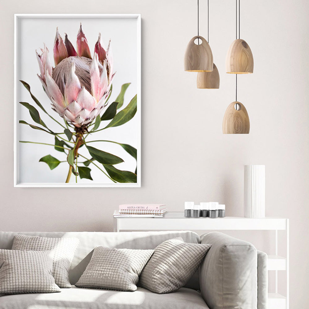 King Protea Portrait - Art Print, Poster, Stretched Canvas or Framed Wall Art Prints, shown framed in a room