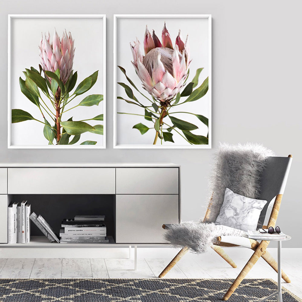 King Protea Portrait - Art Print, Poster, Stretched Canvas or Framed Wall Art, shown framed in a home interior space