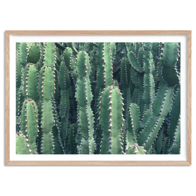 Prickly Cacti Garden - Art Print, Poster, Stretched Canvas, or Framed Wall Art Print, shown in a natural timber frame