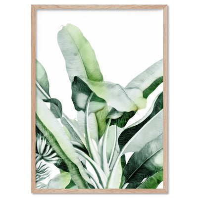 Tropical Sketched Banana Palm Leaves & Foliage - Art Print, Poster, Stretched Canvas, or Framed Wall Art Print, shown in a natural timber frame